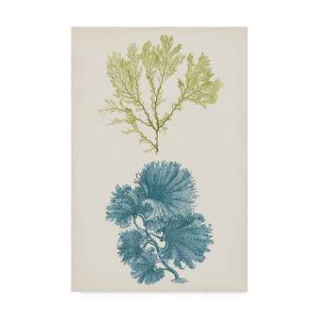 Trademark Fine Art Vision Studio 'Aqua And Citron Coral I' Canvas Art, 16x24 WAG04218-C1624GG